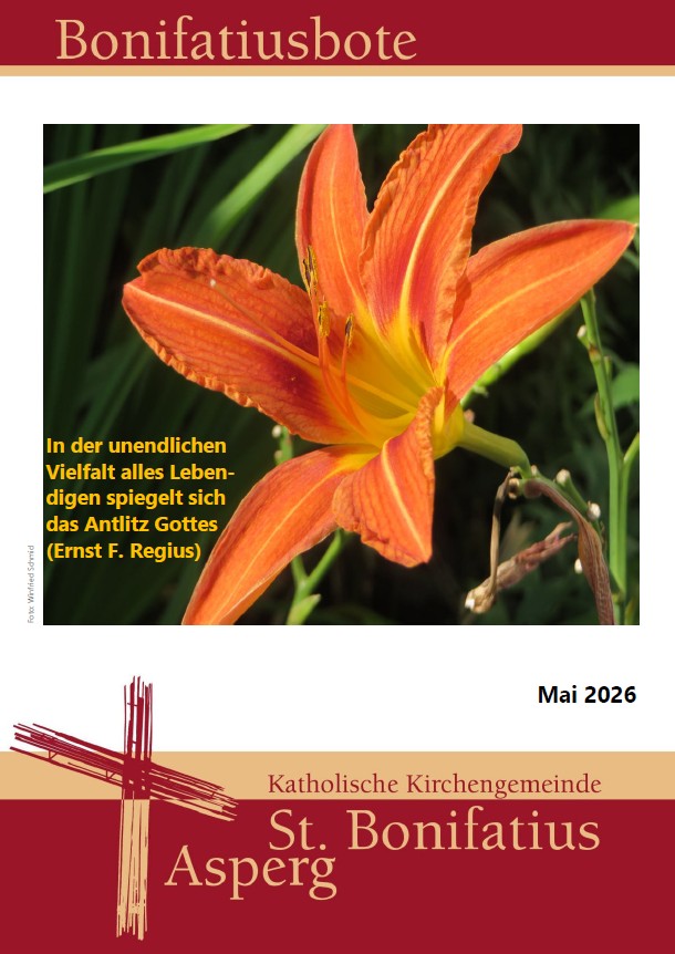 Bonibote Oktober 2025